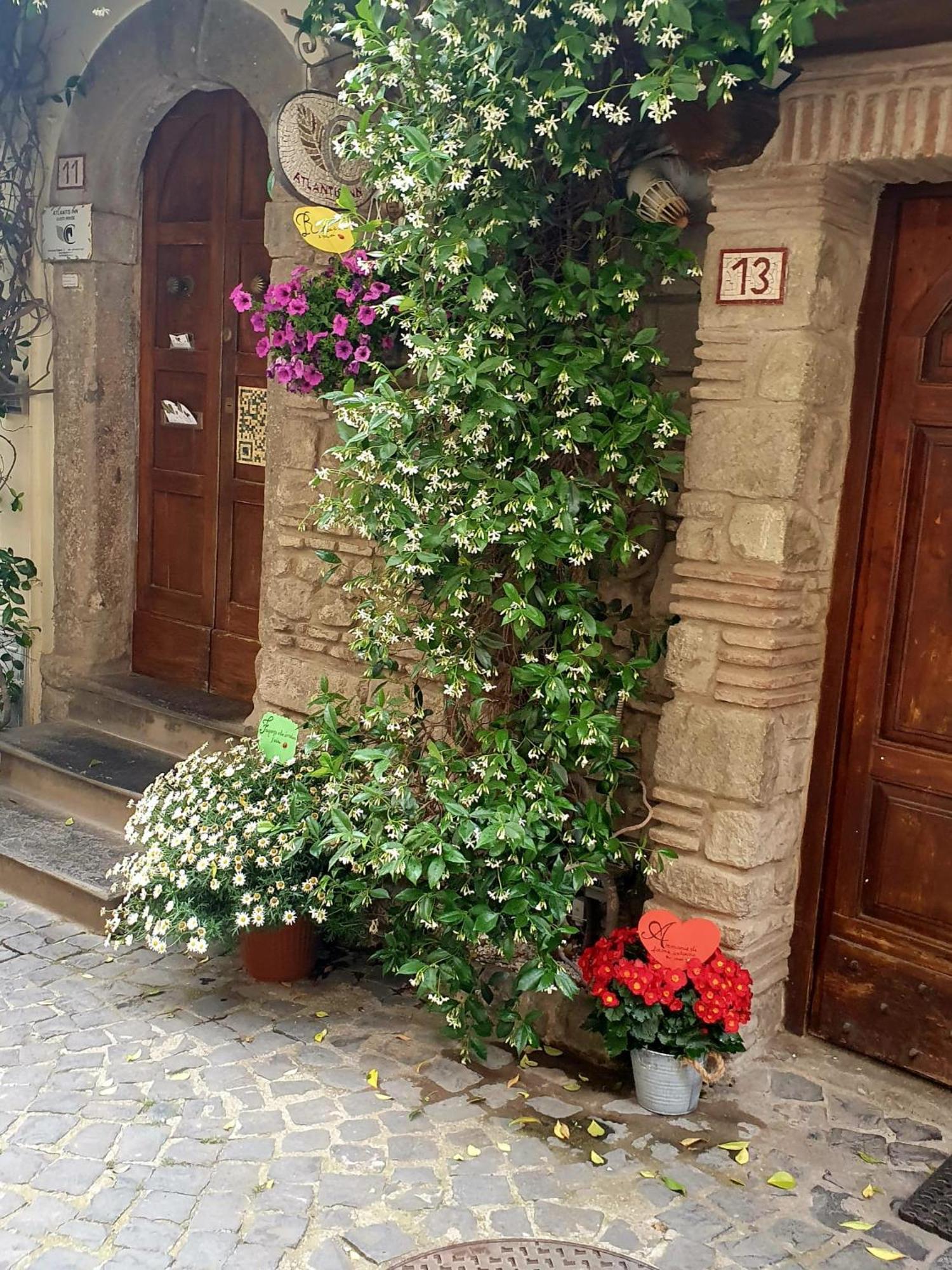 Atlantis Inn Castelgandolfo Castel Gandolfo Bagian luar foto